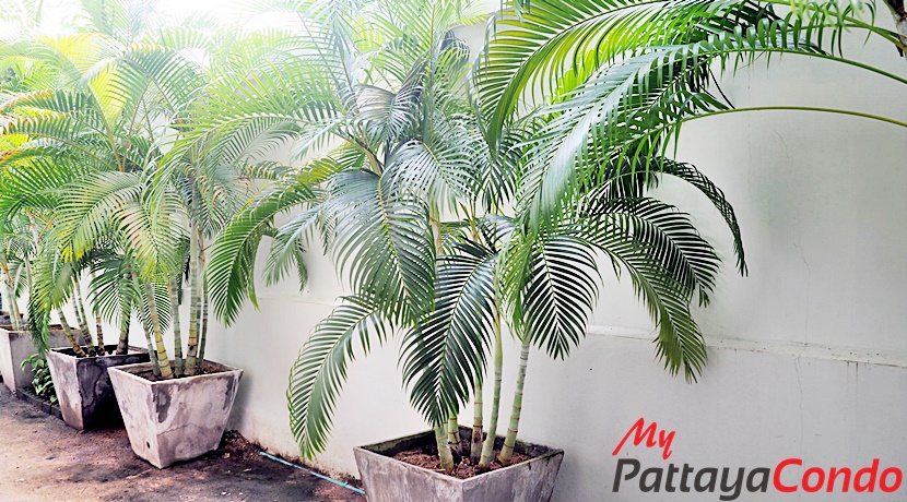 Art on the Hill Pattaya Condo For Sale - AOH13-7