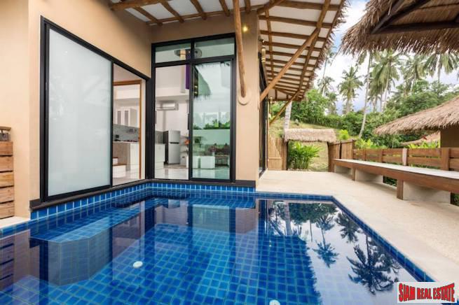 Beautiful Coconut Island One Bedroom Pool Villa for Sale-0