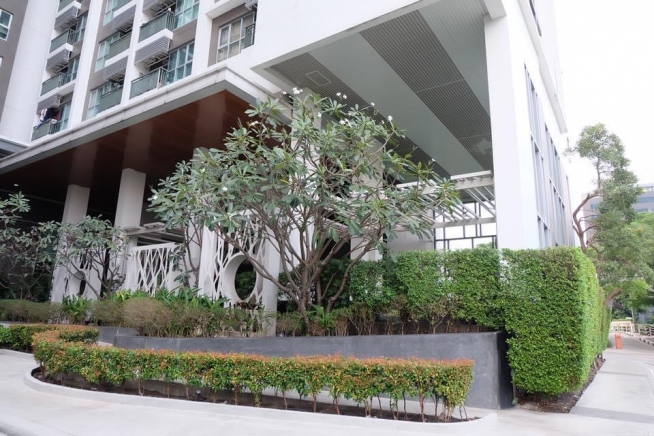 Aspire Rama 9 | Brightly Furnished One Bed Condo on 20th Floor with Closed Kitchen in Excellent Location of Rama 9-20